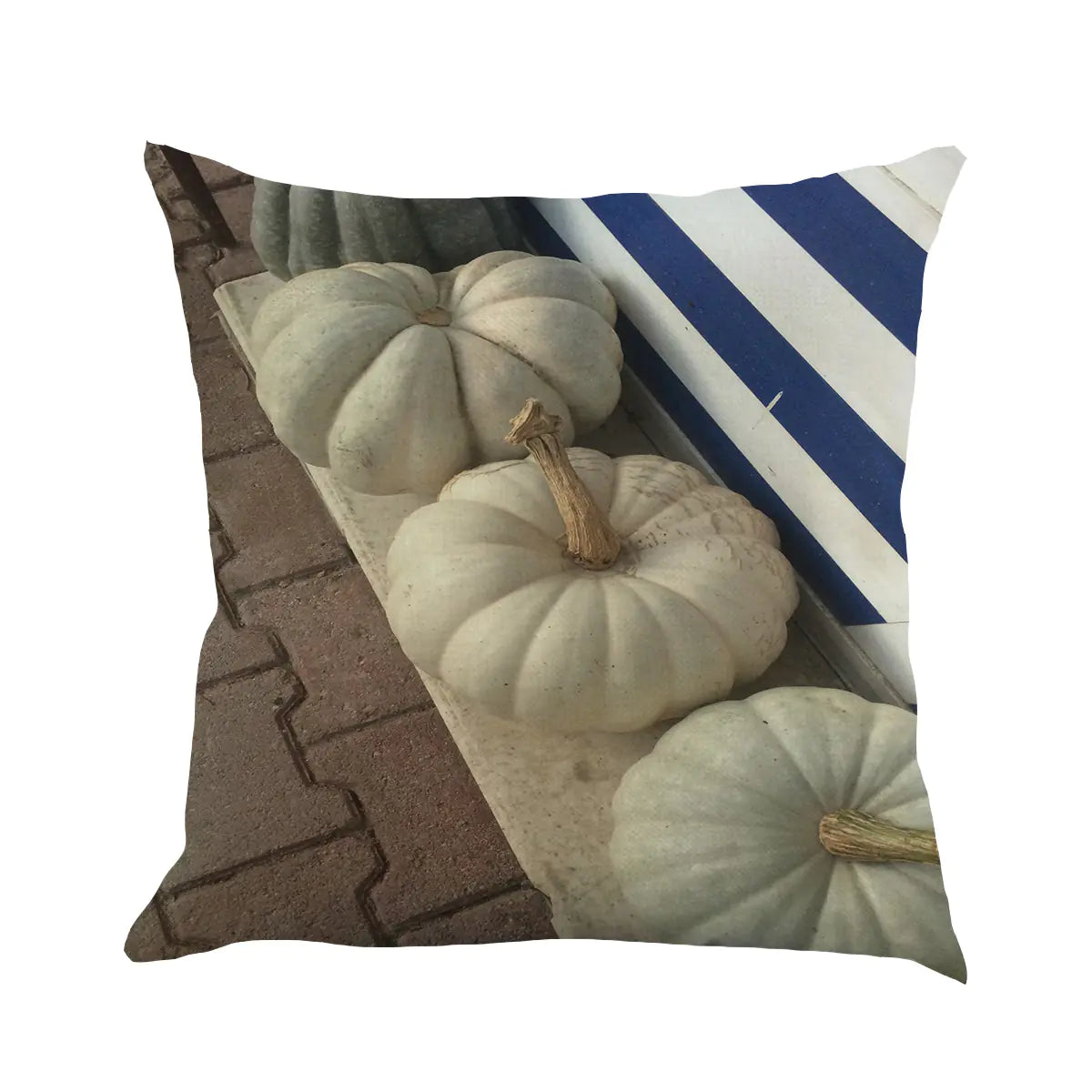 Autumn Elegance Pillow Cover